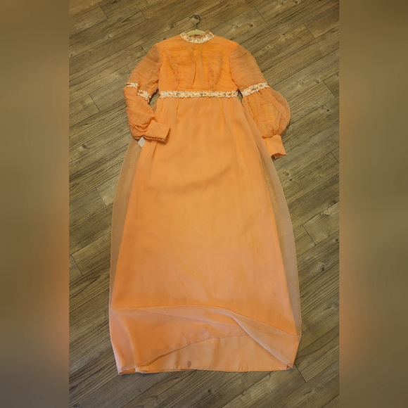 Vintage Chiffon Prairie Maxi Dress with Lace Trim - Picture 10 of 12